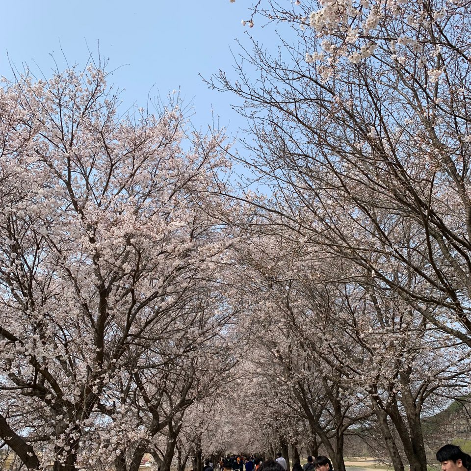 2019학년도 건축답사 게시글의 2 번째 이미지