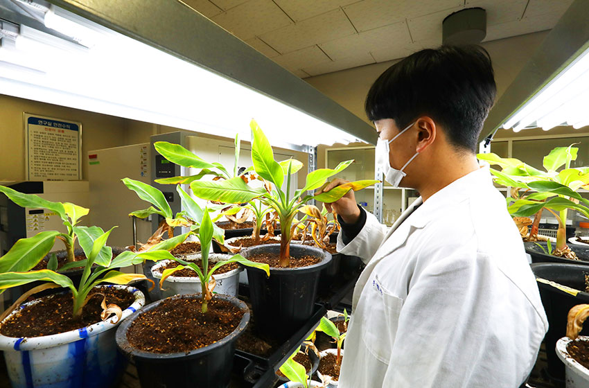 식물생명공학실험실 사진
