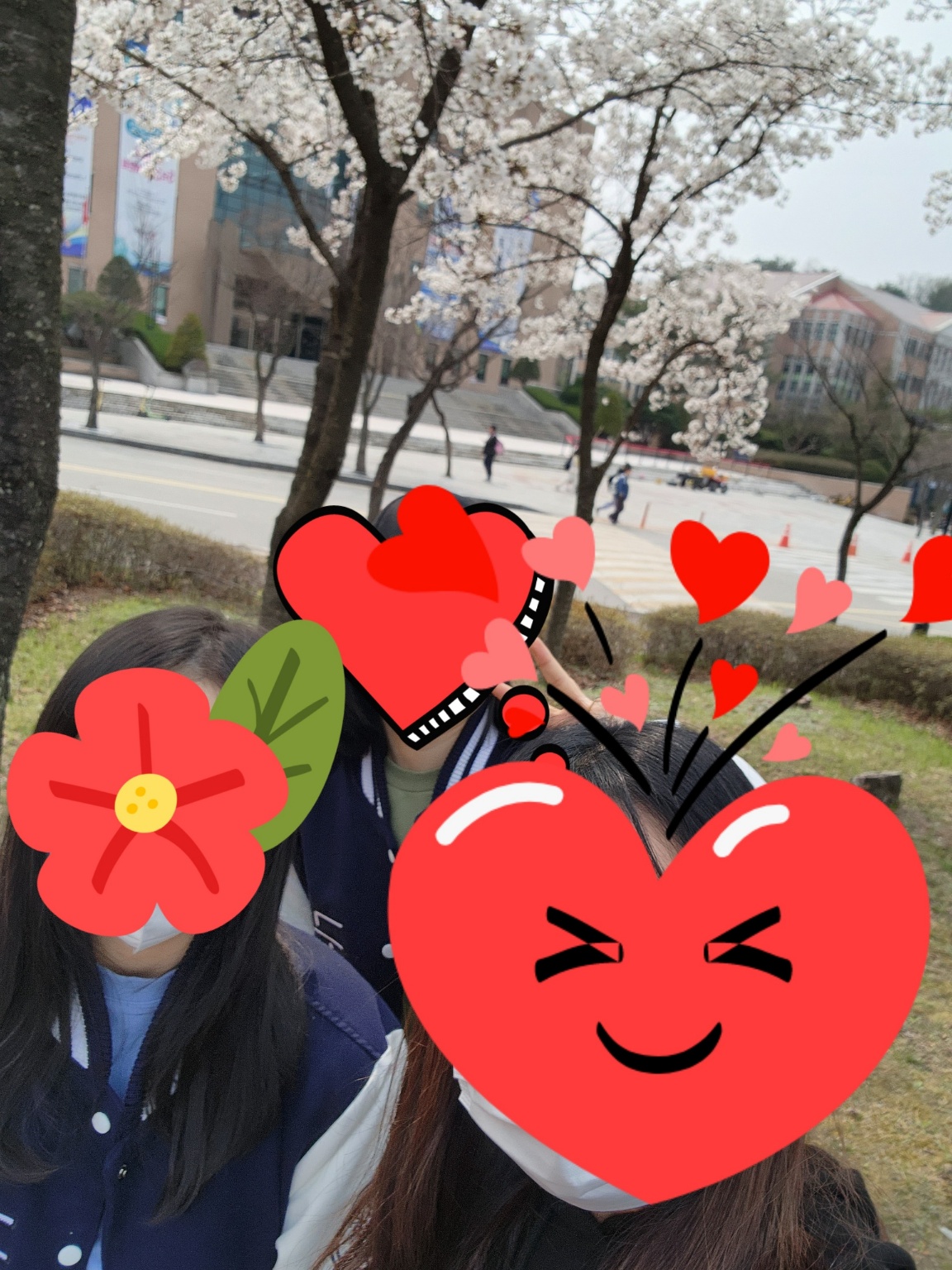 2023학년도 국어교과교육론 벚꽃 체험 게시글의 5 번째 이미지