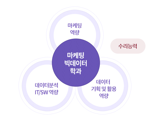 마케팅빅데이터학과 - 마케팅역량, 데이터분석 IT/SW 역량, 데이터 기획 및 활용 역량 / 수리 능력